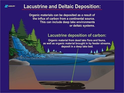 Illustration of lacustrine deposition of carbon.